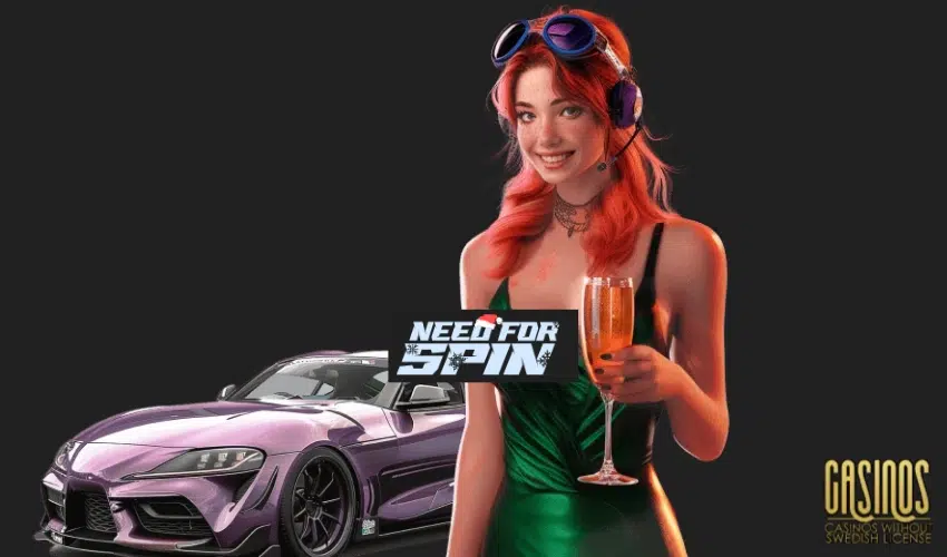 Need For Spin License Customer Support and Security