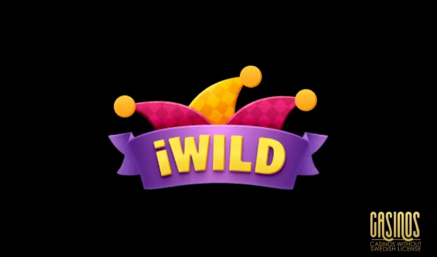 iWild Casino License and Security Review