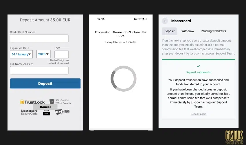 Deposit successful with Mastercard at Lucky Trunk Casino